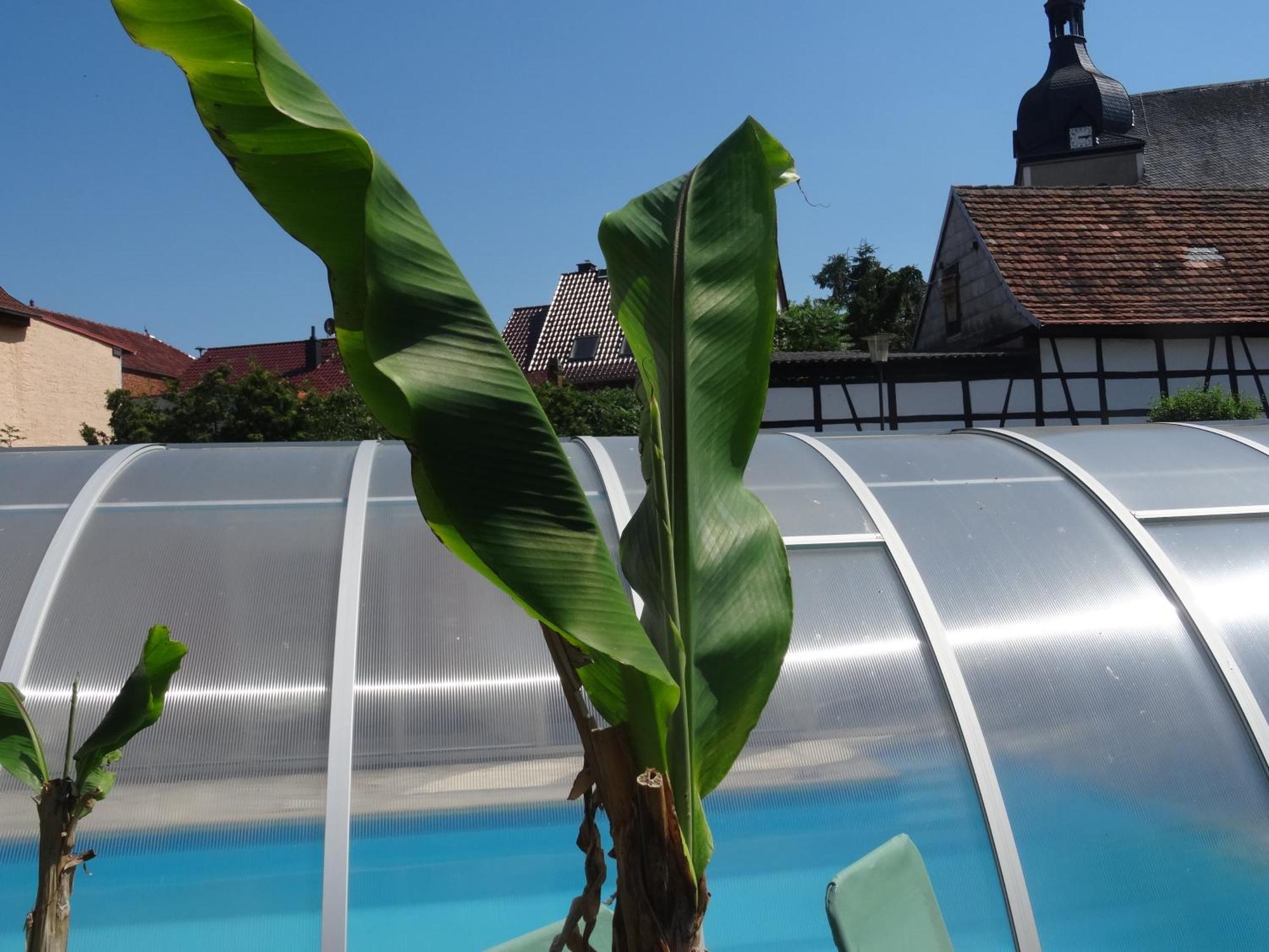 Pension Und Gaestehaus Paffrath Grossbrembach Esterno foto